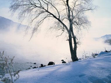 中国东北江畔雾凇冬日雪景