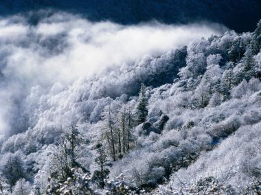 中国冬季高山雾凇云海雪景