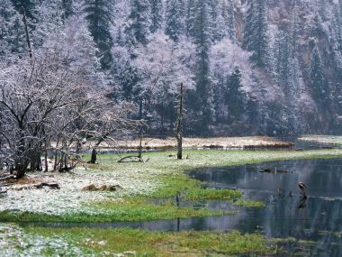 中国冬日林间湿地雪景风光