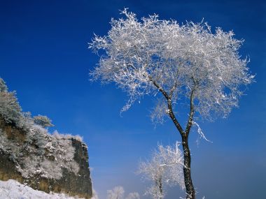 中国冬日晴空下雾凇树与悬崖雪景