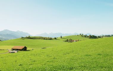 德国巴伐利亚阿尔卑斯山麓夏日田园牧场风光
