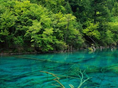 中国九寨沟翠蓝湖泊原始森林自然风光