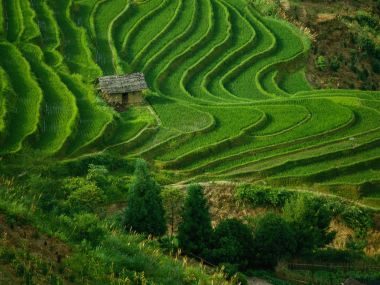 中国绿色梯田山间茅草屋田园风光