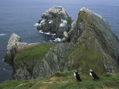 英国设得兰群岛昂斯特岛赫曼内斯大西洋海鹦海岸风光