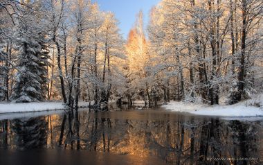 雪后冬日森林溪流晨光倒影雪景
