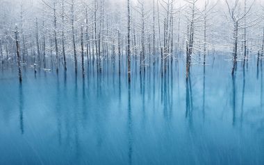 日本北海道美瑛青池冬日雪景