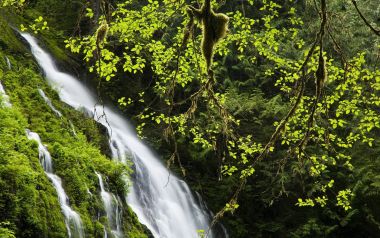 Earth's Natural Wonders: Scenery Wallpaper Collection Vol. 10