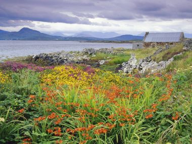 Carna Bay Ireland Coastal Landscape