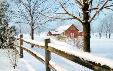冬日农场的圣诞雪景
