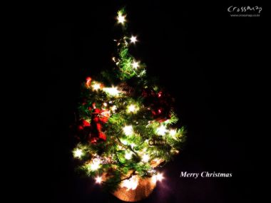 黑色背景下发光的圣诞树与Merry Christmas文字