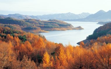 韩国忠州湖秋季森林风光
