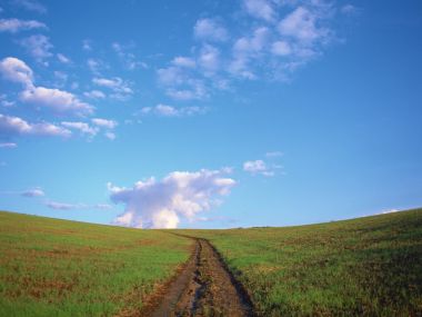 晴朗蓝天郊野青草地乡间土路田园风光