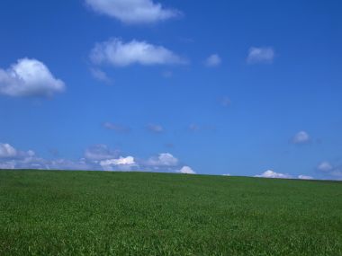 广阔郊野翠绿青草地蓝天白云自然风景