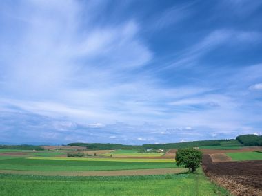 日本北海道乡村田园田野风光