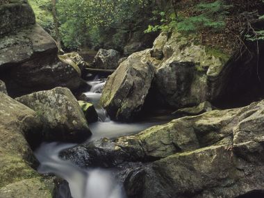 美国肯塔基坎伯兰瀑布州立公园 Dog Slaughter Creek 山涧溪流风光