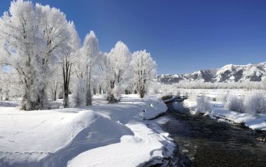 美国大提顿国家公园清晨雪景与雾凇
