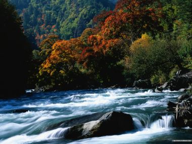 秋日彩林山谷湍急溪流自然风光壁纸