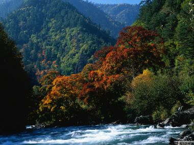 秋季山谷彩叶森林湍急河流自然风光