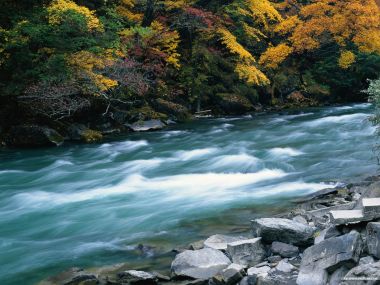 秋日彩叶森林碧色湍急溪流自然风光