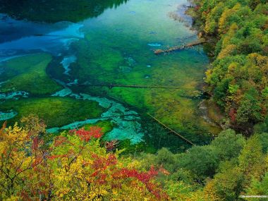 四川九寨沟秋季彩林湖泊风光