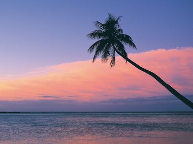 斐济热带海滨夕阳与棕榈树