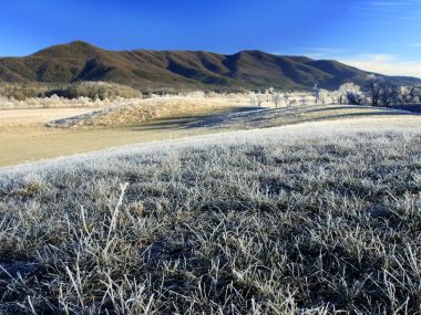 Frosty Morning Cades Cove Great Smoky Mountains Tennessee