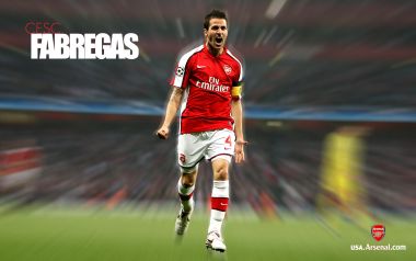 Cesc Fabregas Arsenal Player Celebration