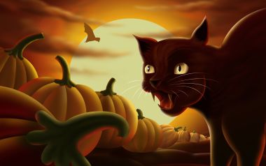 万圣节插画：满月下的咆哮黑猫与南瓜地