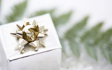 银色包装纸礼物盒与金色蝴蝶结及蕨类植物特写