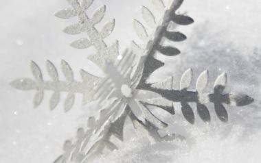 白色背景上的精致雪花剪纸特写