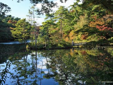 日本日式园林秋日湖景风光