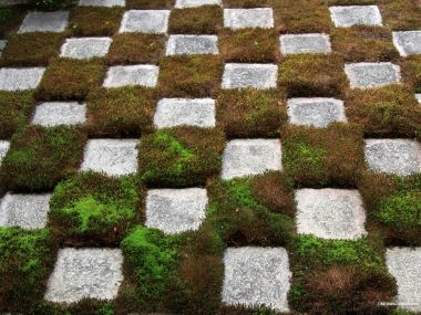 日本传统日式庭院棋盘格苔藓石板步道