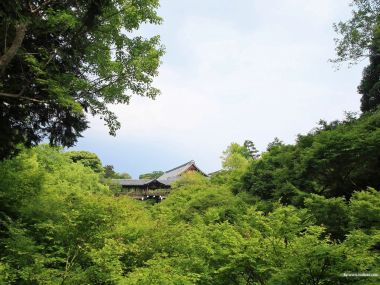 日本日式园林初夏绿意掩映和风古建风光