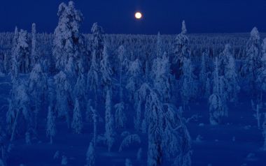 芬兰库萨莫的雪夜满月森林