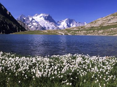 Lake Goleon And La Meije Massif France