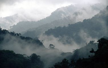 哥斯达黎加蒙特韦尔德云雾森林的迷雾山谷