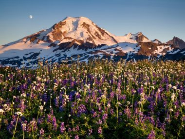 美国华盛顿州贝克山月出雪山花海风光