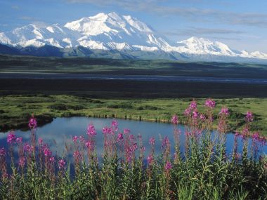 Mount Mckinley Denali National Park Alaska