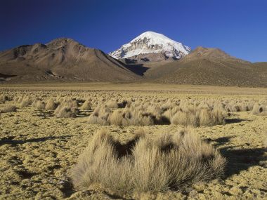 玻利维亚萨哈马国家公园萨哈马火山