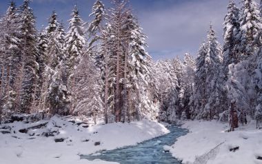 美国雷尼尔山国家公园冬季溪流雪景