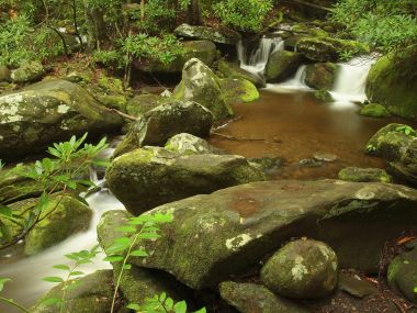 美国大烟山Roaring Fork原始森林山涧溪流风光