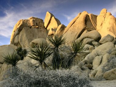 Rock Formations Joshua Tree National Park