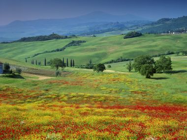 San Quirico Tuscany Italy Landscape