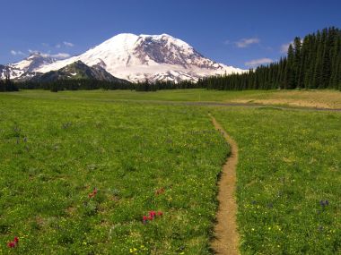 美国雷尼尔山国家公园高山草甸与徒步小径
