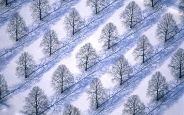 雪地森林俯瞰几何构图