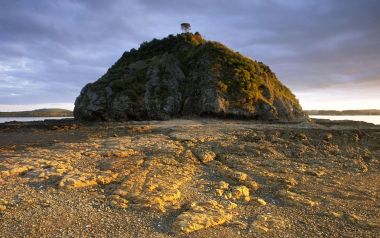 新西兰北地大区克里克里海岸岩石