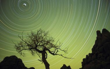 蒙古夜空下的璀璨星轨与枯树