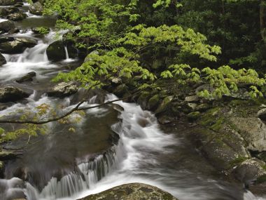 美国田纳西州大烟山国家公园山涧溪流风光