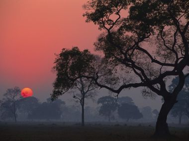 Brazil Pantanal Transpantaneira Sunrise Fog Landscape