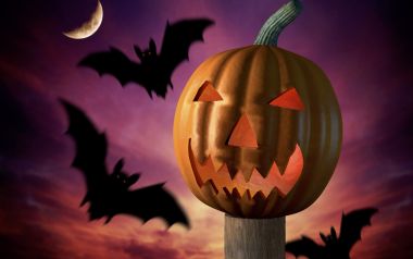 Halloween Jack O Lantern And Bats Night Sky